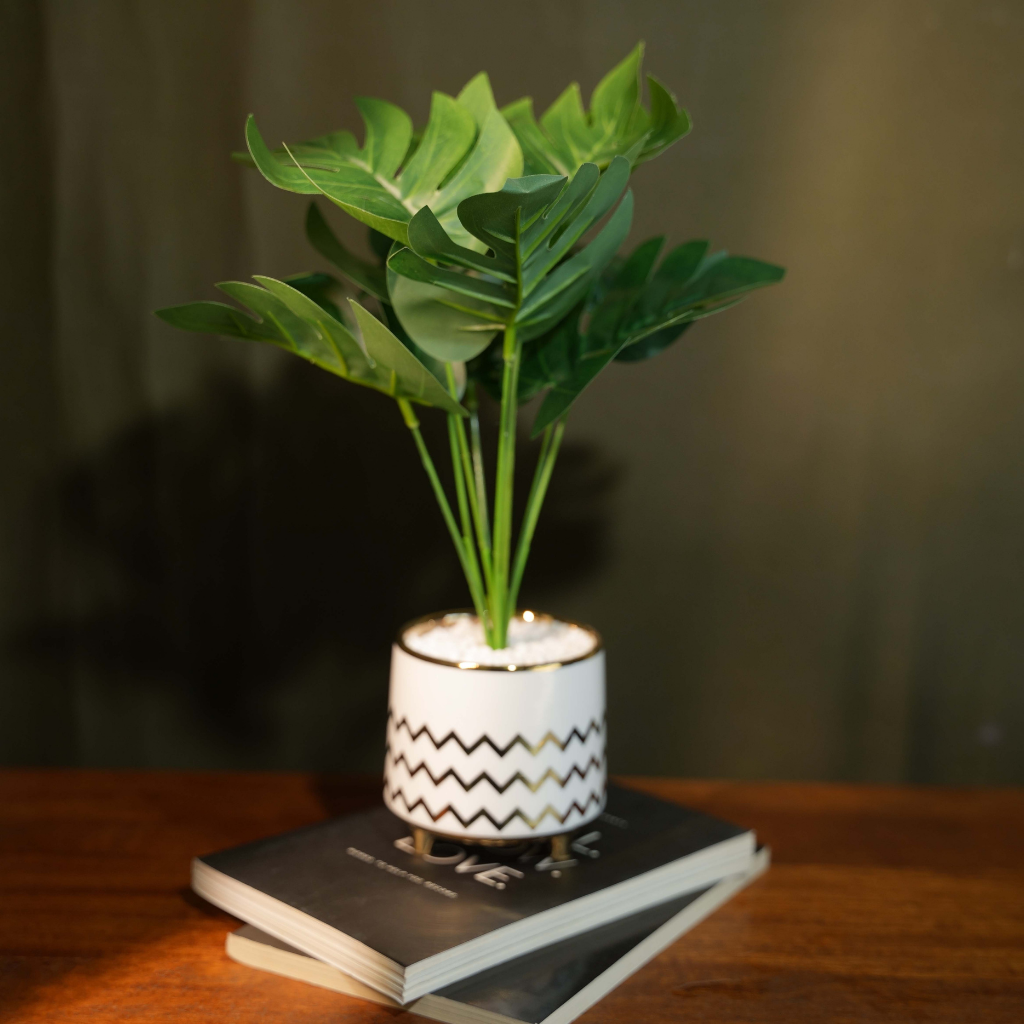 Minimal Planter(White & Golden)