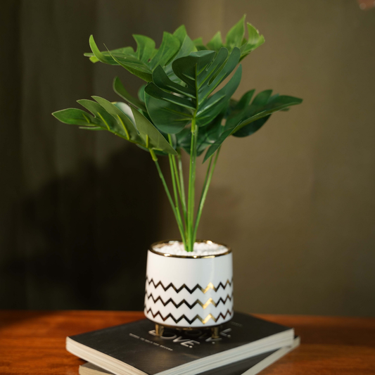 Minimal Planter(White & Golden)