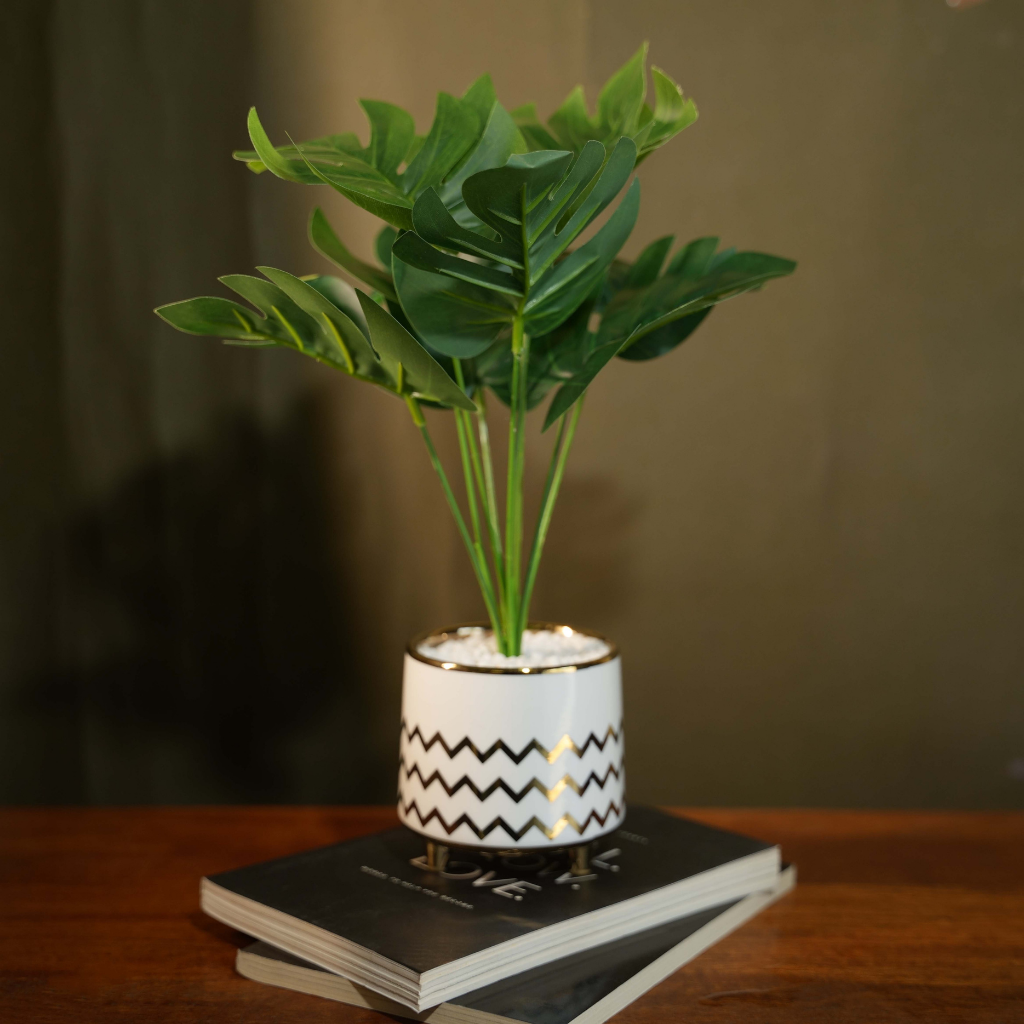 Minimal Planter(White & Golden)