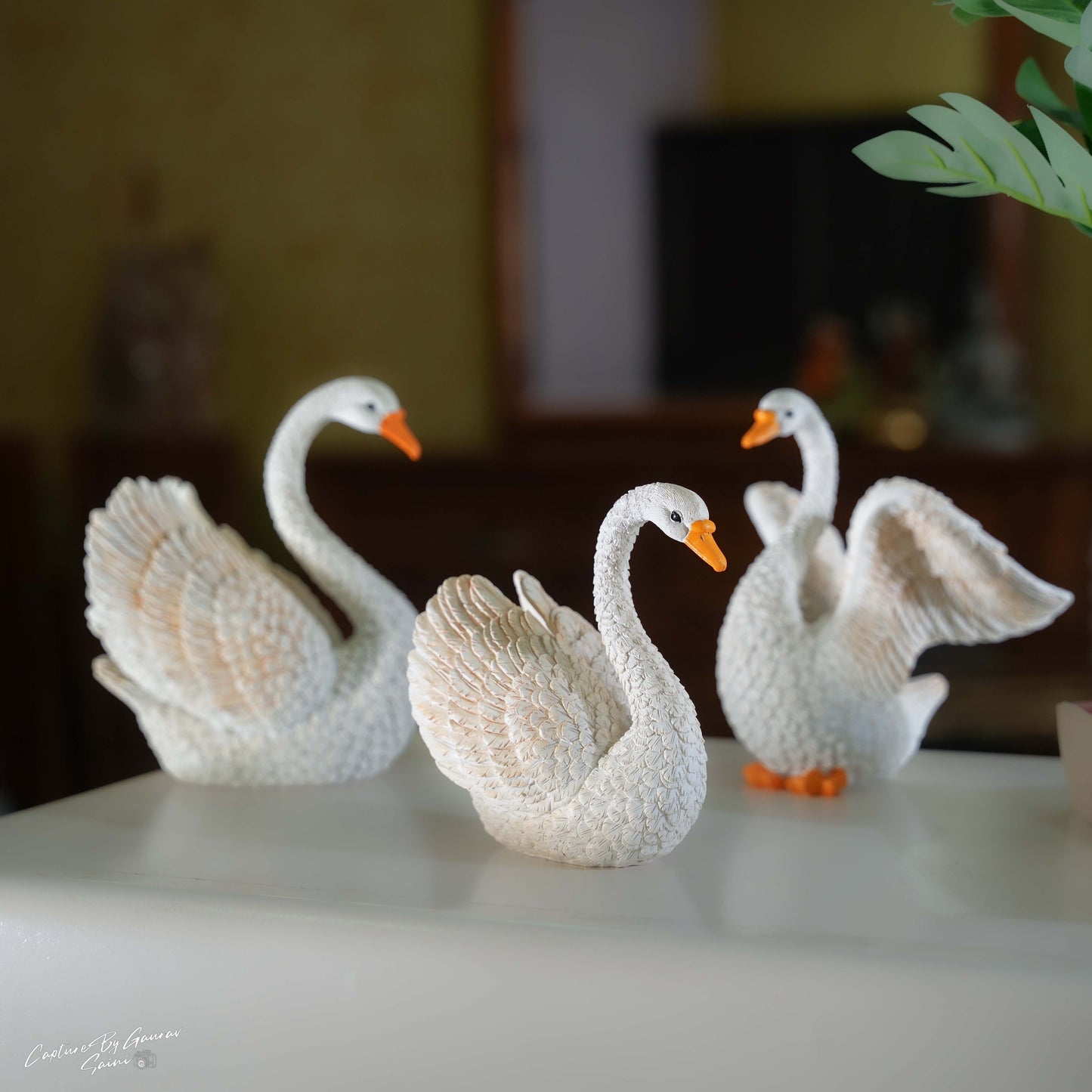 Ceramic Swan(Open Wings)